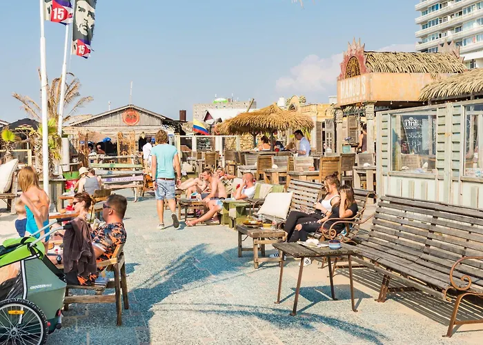Chalet Zandvoort