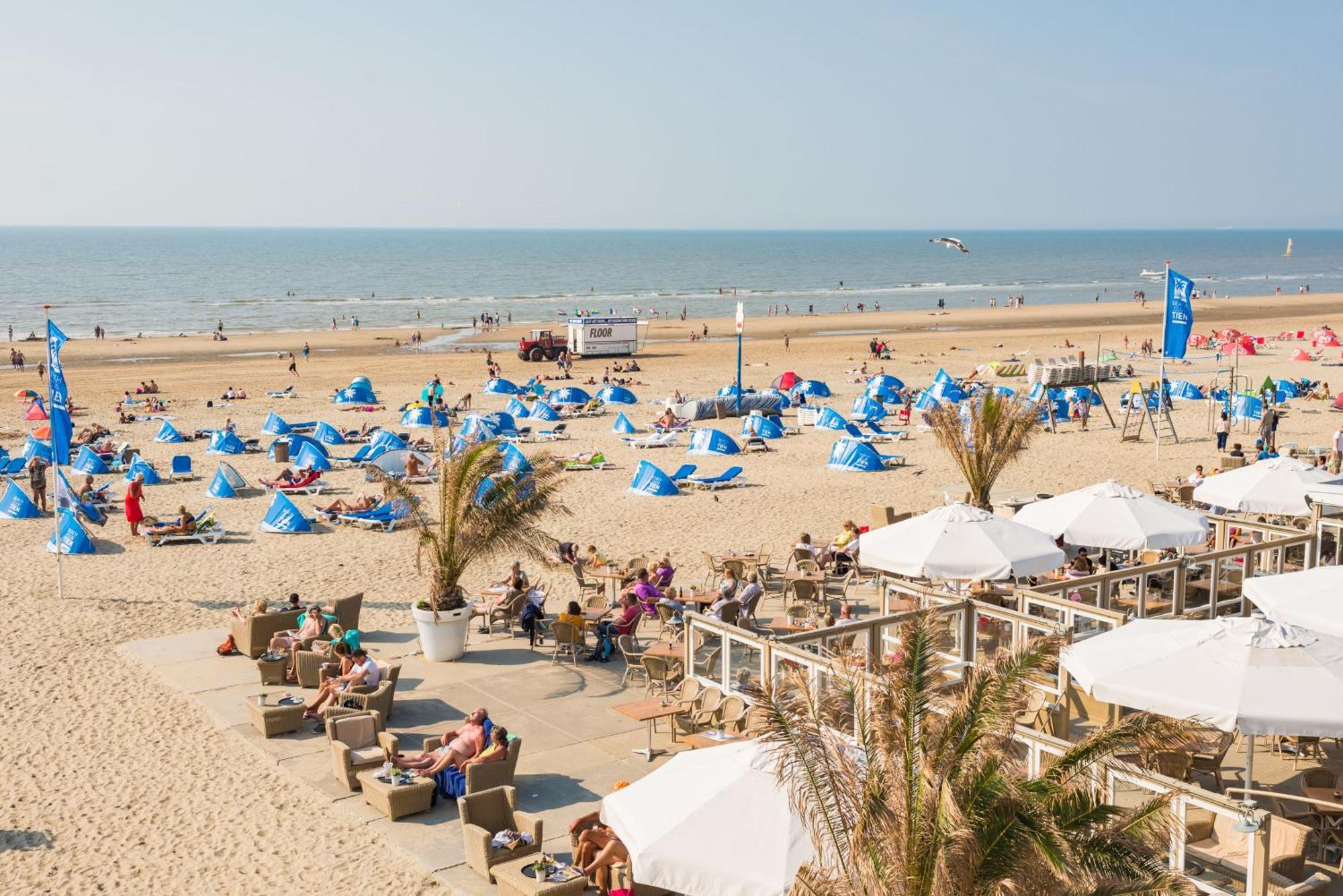 Chalet Zandvoort Chalet