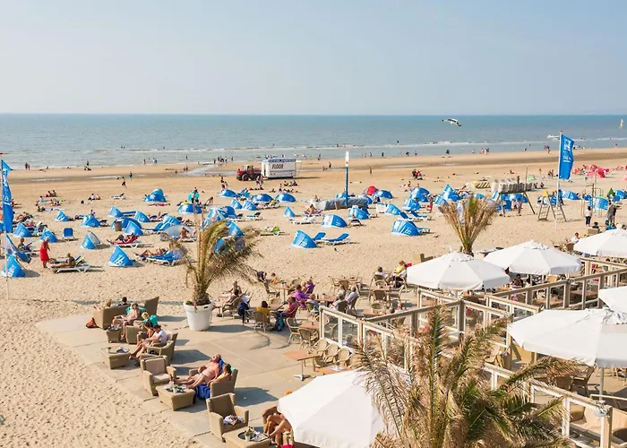 Chalet Zandvoort